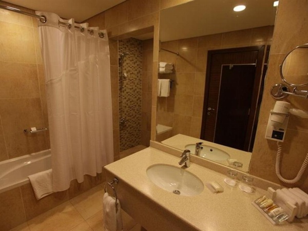 Hilton Garden Inn Riyadh Olaya image 39